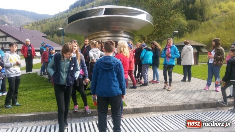 Zdjęcie w galerii na portalu naszraciborz.pl: Młodzi ekolodzy ze Szkoły Podstawowej nr 4 donoszą  wiadomości z regionu