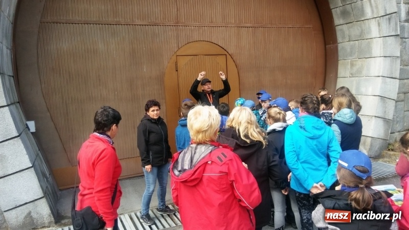 Zdjęcie w galerii na portalu naszraciborz.pl: Młodzi ekolodzy ze Szkoły Podstawowej nr 4 donoszą  wiadomości z regionu
