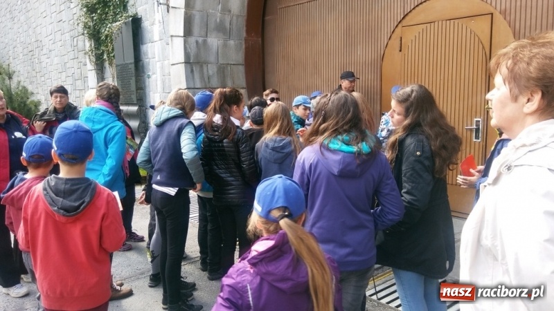 Zdjęcie w galerii na portalu naszraciborz.pl: Młodzi ekolodzy ze Szkoły Podstawowej nr 4 donoszą  wiadomości z regionu