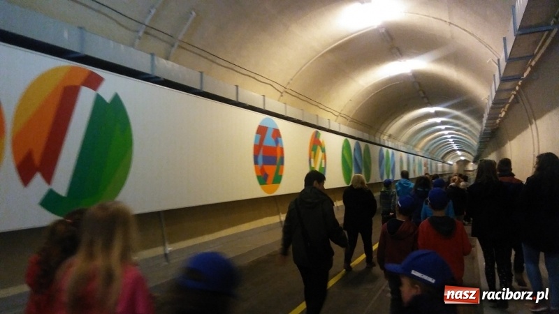 Zdjęcie w galerii na portalu naszraciborz.pl: Młodzi ekolodzy ze Szkoły Podstawowej nr 4 donoszą  wiadomości z regionu