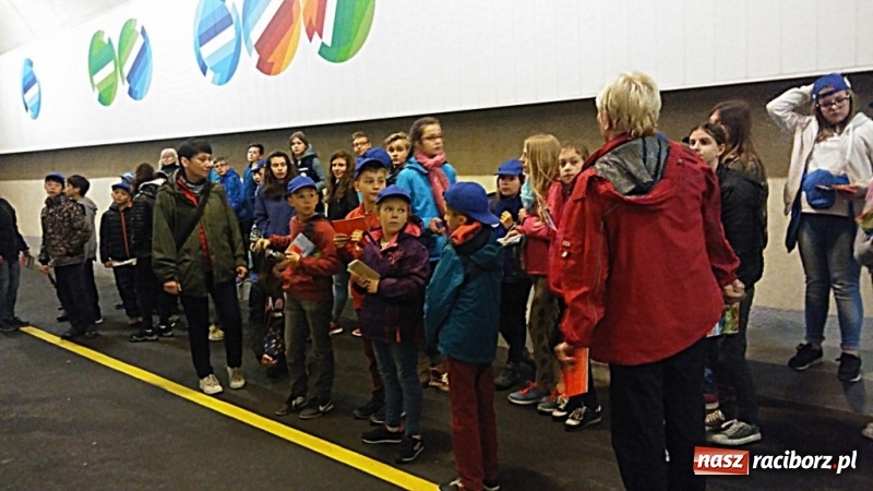 Zdjęcie w galerii na portalu naszraciborz.pl: Młodzi ekolodzy ze Szkoły Podstawowej nr 4 donoszą  wiadomości z regionu