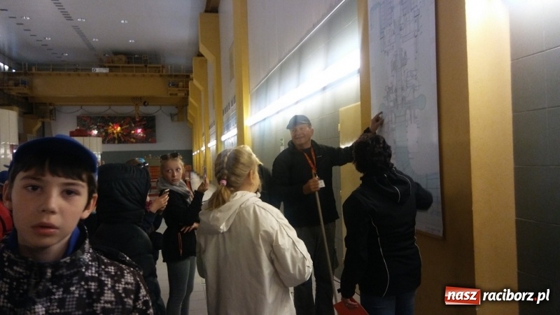 Zdjęcie w galerii na portalu naszraciborz.pl: Młodzi ekolodzy ze Szkoły Podstawowej nr 4 donoszą  wiadomości z regionu