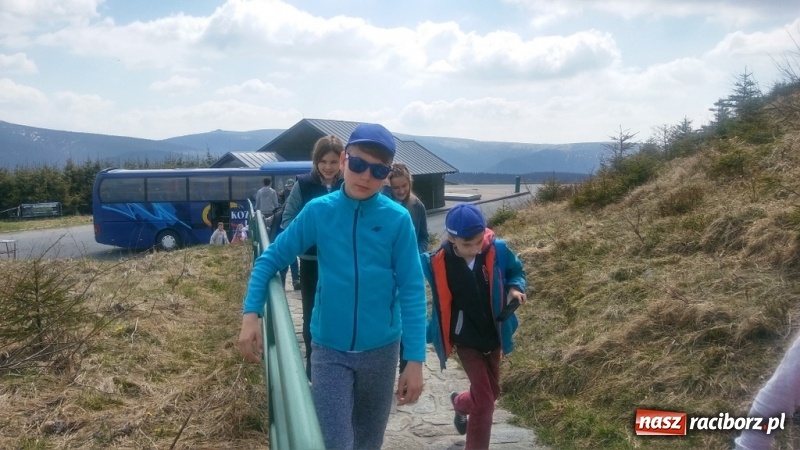 Zdjęcie w galerii na portalu naszraciborz.pl: Młodzi ekolodzy ze Szkoły Podstawowej nr 4 donoszą  wiadomości z regionu