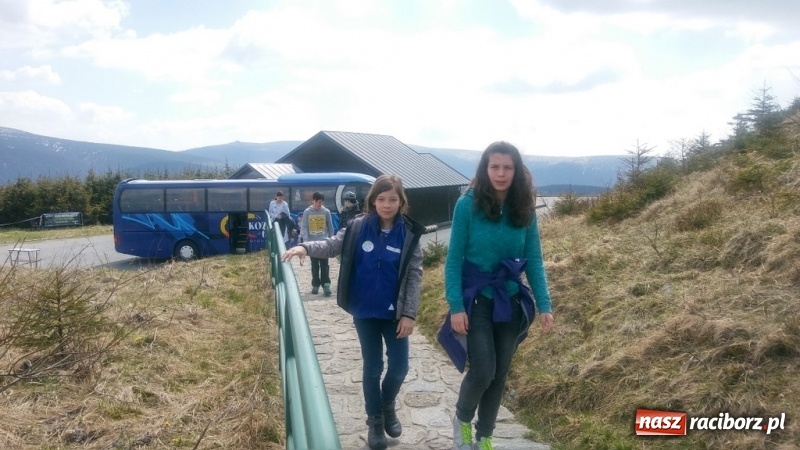 Zdjęcie w galerii na portalu naszraciborz.pl: Młodzi ekolodzy ze Szkoły Podstawowej nr 4 donoszą  wiadomości z regionu