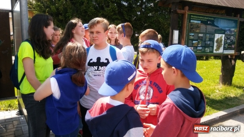 Zdjęcie w galerii na portalu naszraciborz.pl: Młodzi ekolodzy ze Szkoły Podstawowej nr 4 donoszą  wiadomości z regionu