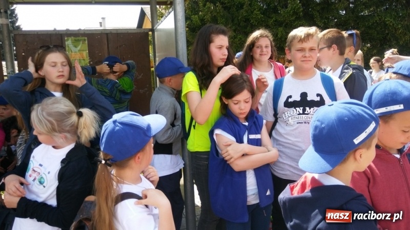 Zdjęcie w galerii na portalu naszraciborz.pl: Młodzi ekolodzy ze Szkoły Podstawowej nr 4 donoszą  wiadomości z regionu