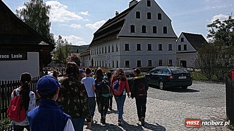 Zdjęcie w galerii na portalu naszraciborz.pl: Młodzi ekolodzy ze Szkoły Podstawowej nr 4 donoszą  wiadomości z regionu