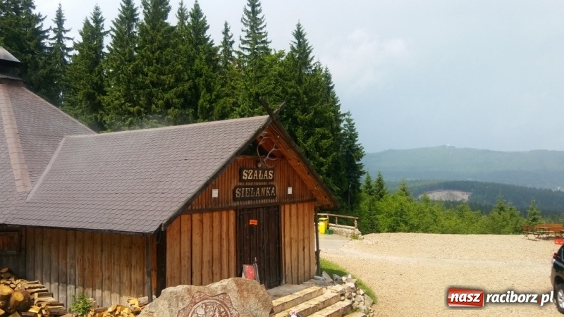 Zdjęcie w galerii na portalu naszraciborz.pl: Młodzi ekolodzy ze Szkoły Podstawowej nr 4 donoszą  wiadomości z regionu