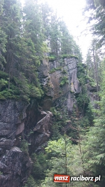 Zdjęcie w galerii na portalu naszraciborz.pl: Młodzi ekolodzy ze Szkoły Podstawowej nr 4 donoszą  wiadomości z regionu