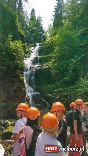 Zdjęcie w galerii na portalu naszraciborz.pl: Młodzi ekolodzy ze Szkoły Podstawowej nr 4 donoszą  wiadomości z regionu