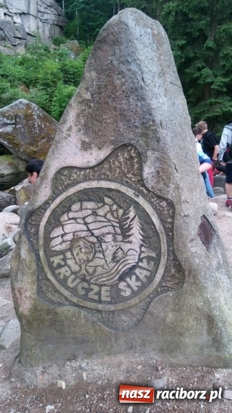 Zdjęcie w galerii na portalu naszraciborz.pl: Młodzi ekolodzy ze Szkoły Podstawowej nr 4 donoszą  wiadomości z regionu