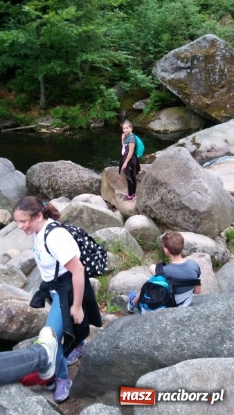 Zdjęcie w galerii na portalu naszraciborz.pl: Młodzi ekolodzy ze Szkoły Podstawowej nr 4 donoszą  wiadomości z regionu