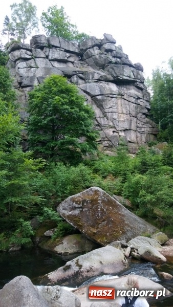 Zdjęcie w galerii na portalu naszraciborz.pl: Młodzi ekolodzy ze Szkoły Podstawowej nr 4 donoszą  wiadomości z regionu