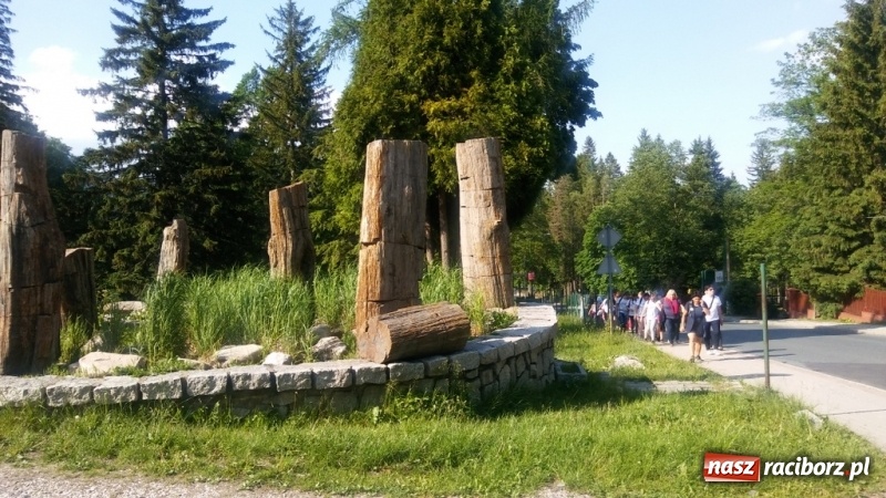 Zdjęcie w galerii na portalu naszraciborz.pl: Młodzi ekolodzy ze Szkoły Podstawowej nr 4 donoszą  wiadomości z regionu