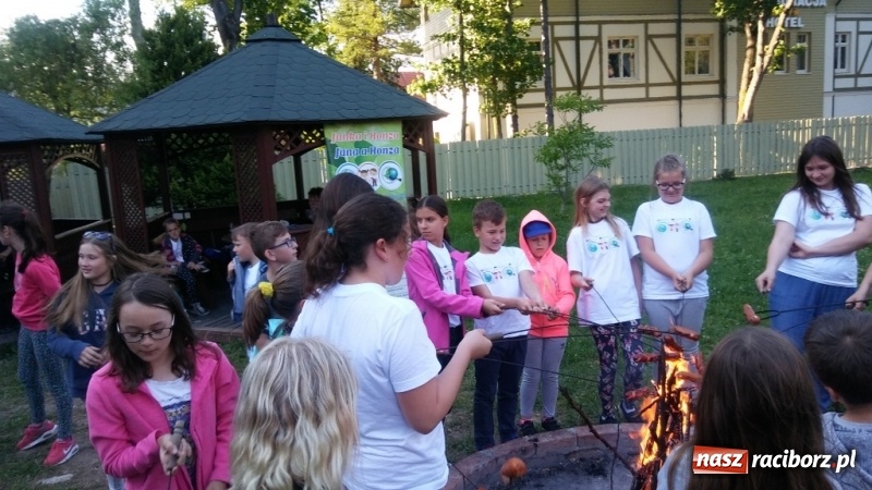 Zdjęcie w galerii na portalu naszraciborz.pl: Młodzi ekolodzy ze Szkoły Podstawowej nr 4 donoszą  wiadomości z regionu