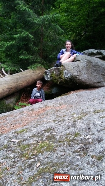 Zdjęcie w galerii na portalu naszraciborz.pl: Młodzi ekolodzy ze Szkoły Podstawowej nr 4 donoszą  wiadomości z regionu