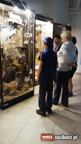 Zdjęcie w galerii na portalu naszraciborz.pl: Młodzi ekolodzy ze Szkoły Podstawowej nr 4 donoszą  wiadomości z regionu