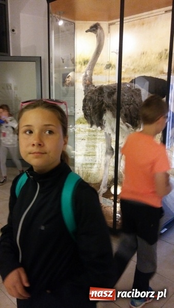 Zdjęcie w galerii na portalu naszraciborz.pl: Młodzi ekolodzy ze Szkoły Podstawowej nr 4 donoszą  wiadomości z regionu