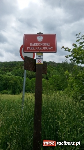 Zdjęcie w galerii na portalu naszraciborz.pl: Młodzi ekolodzy ze Szkoły Podstawowej nr 4 donoszą  wiadomości z regionu