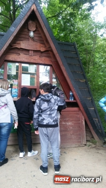 Zdjęcie w galerii na portalu naszraciborz.pl: Młodzi ekolodzy ze Szkoły Podstawowej nr 4 donoszą  wiadomości z regionu