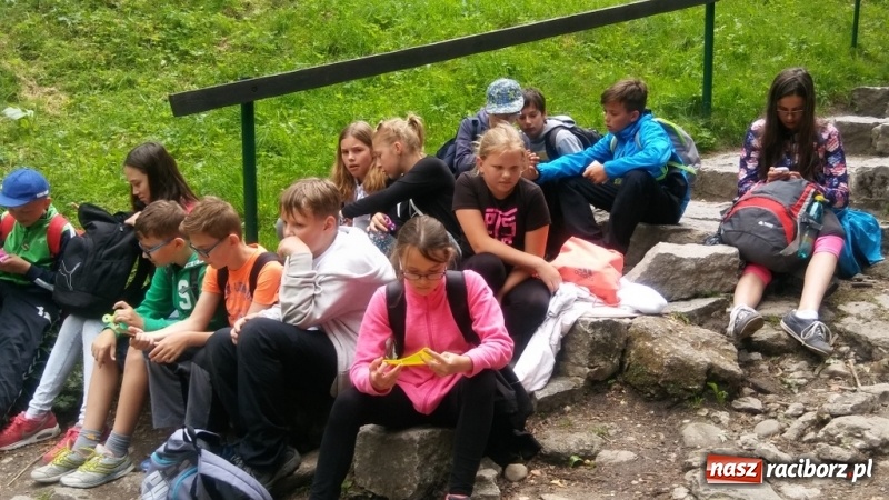 Zdjęcie w galerii na portalu naszraciborz.pl: Młodzi ekolodzy ze Szkoły Podstawowej nr 4 donoszą  wiadomości z regionu