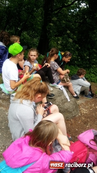 Zdjęcie w galerii na portalu naszraciborz.pl: Młodzi ekolodzy ze Szkoły Podstawowej nr 4 donoszą  wiadomości z regionu