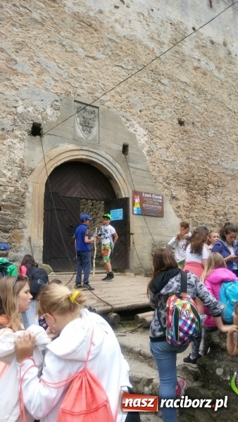 Zdjęcie w galerii na portalu naszraciborz.pl: Młodzi ekolodzy ze Szkoły Podstawowej nr 4 donoszą  wiadomości z regionu