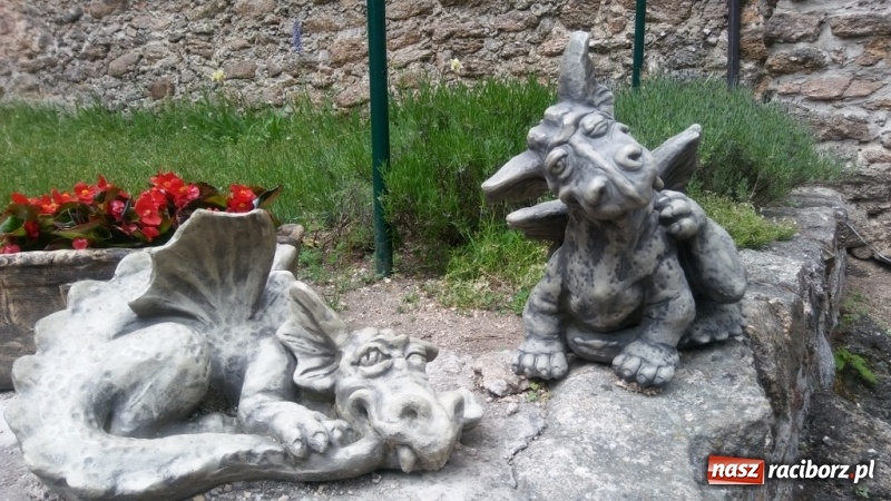 Zdjęcie w galerii na portalu naszraciborz.pl: Młodzi ekolodzy ze Szkoły Podstawowej nr 4 donoszą  wiadomości z regionu