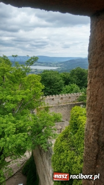 Zdjęcie w galerii na portalu naszraciborz.pl: Młodzi ekolodzy ze Szkoły Podstawowej nr 4 donoszą  wiadomości z regionu