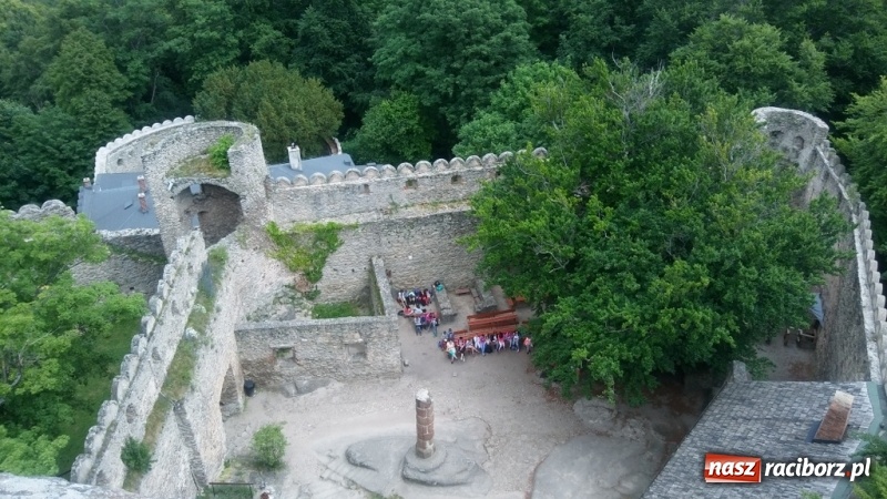 Zdjęcie w galerii na portalu naszraciborz.pl: Młodzi ekolodzy ze Szkoły Podstawowej nr 4 donoszą  wiadomości z regionu