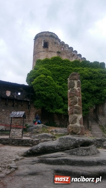 Zdjęcie w galerii na portalu naszraciborz.pl: Młodzi ekolodzy ze Szkoły Podstawowej nr 4 donoszą  wiadomości z regionu