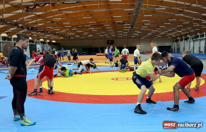 Zdjęcie w galerii na portalu naszraciborz.pl: Zgrupowanie polskich i niemieckich zapaśników w Raciborzu wiadomości z regionu