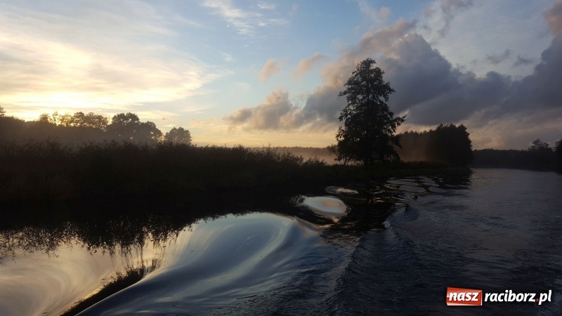 Zdjęcie w galerii na portalu naszraciborz.pl: Szlakiem wodnym do Berlina – pięć atrakcji, których nie możesz ominąć  wiadomości z regionu