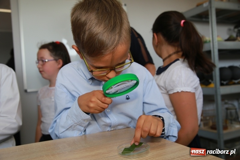 Zdjęcie w galerii na portalu naszraciborz.pl: Kumulacja ekopracowni  wiadomości z regionu