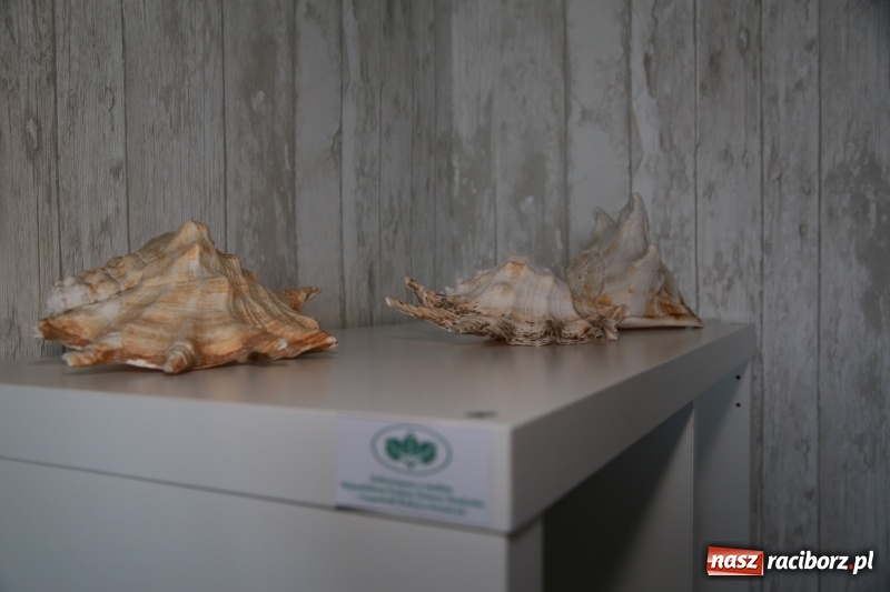 Zdjęcie w galerii na portalu naszraciborz.pl: Kumulacja ekopracowni  wiadomości z regionu