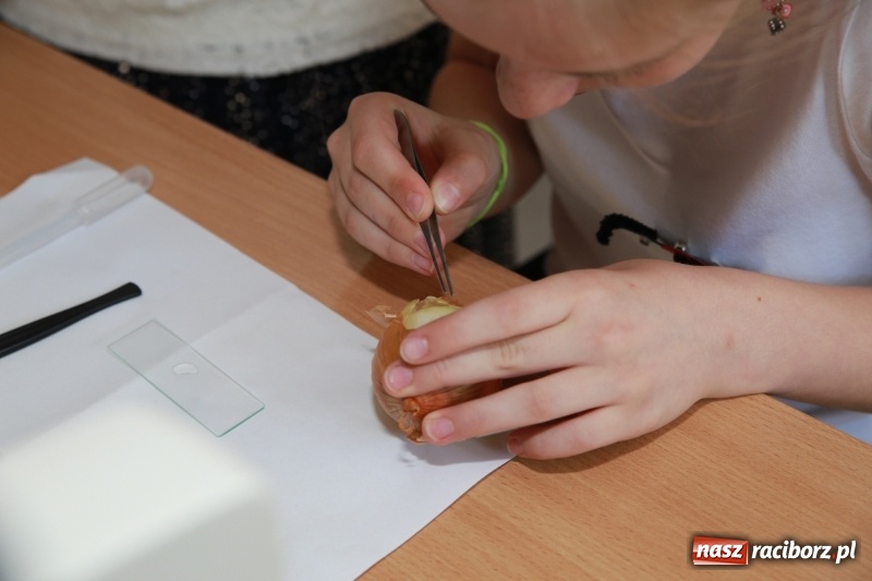 Zdjęcie w galerii na portalu naszraciborz.pl: Kumulacja ekopracowni  wiadomości z regionu