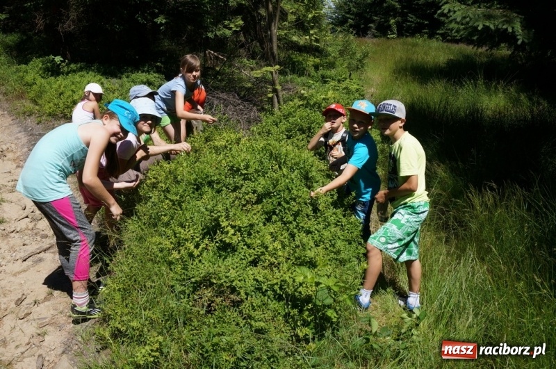 Zdjęcie w galerii na portalu naszraciborz.pl:  ART CAMP Koniaków – obóz ze sztuką i przygodą w Beskidach!   wiadomości z regionu