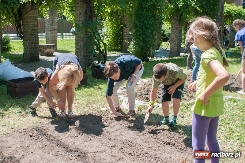 Zdjęcie w galerii na portalu naszraciborz.pl: Piknik sąsiedzki, czyli artyści, strażacy i biblioteka w ogródku jordanowskim wiadomości z regionu