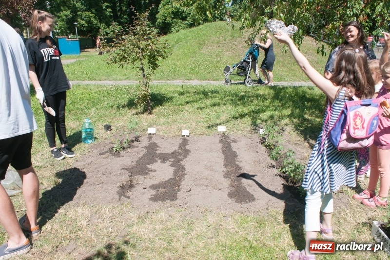 Zdjęcie w galerii na portalu naszraciborz.pl: Piknik sąsiedzki, czyli artyści, strażacy i biblioteka w ogródku jordanowskim wiadomości z regionu