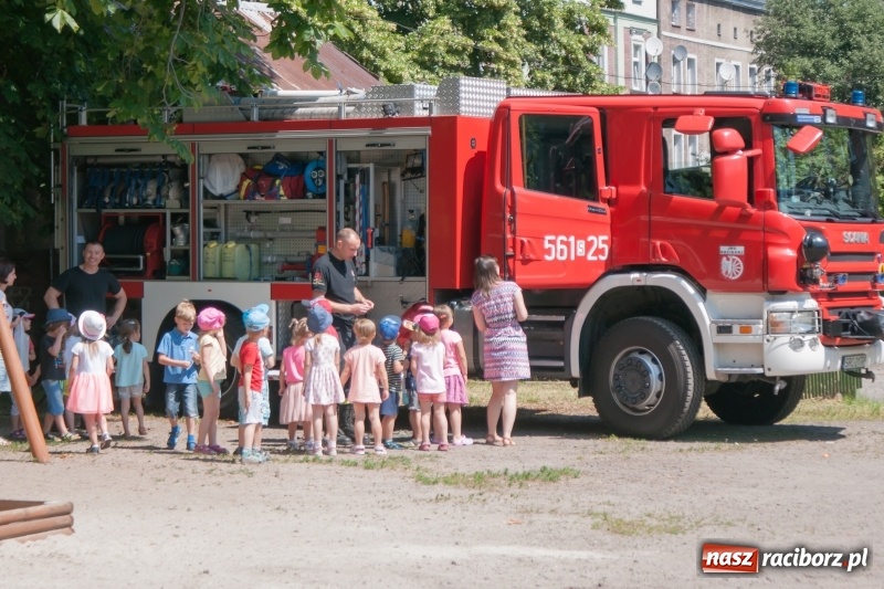 Zdjęcie w galerii na portalu naszraciborz.pl: Piknik sąsiedzki, czyli artyści, strażacy i biblioteka w ogródku jordanowskim wiadomości z regionu