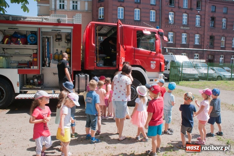 Zdjęcie w galerii na portalu naszraciborz.pl: Piknik sąsiedzki, czyli artyści, strażacy i biblioteka w ogródku jordanowskim wiadomości z regionu