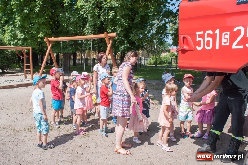Zdjęcie w galerii na portalu naszraciborz.pl: Piknik sąsiedzki, czyli artyści, strażacy i biblioteka w ogródku jordanowskim wiadomości z regionu