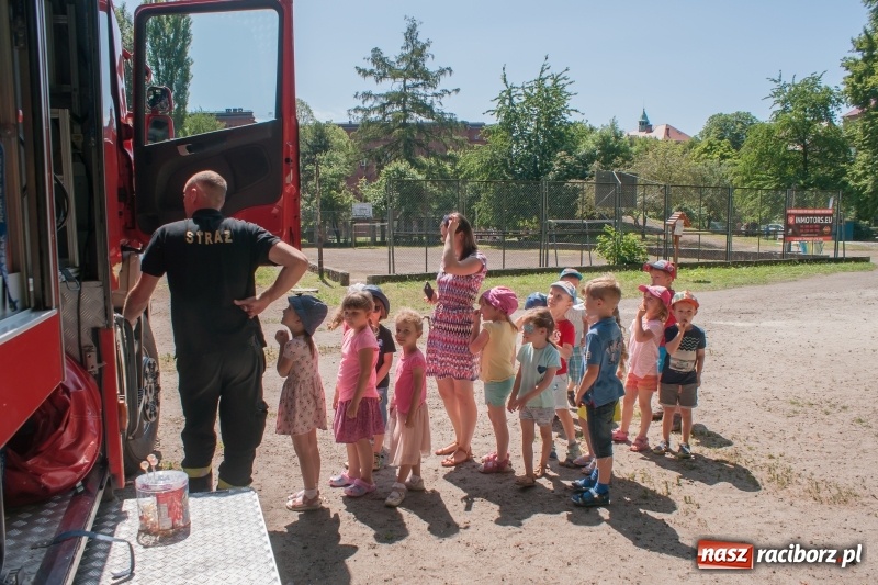 Zdjęcie w galerii na portalu naszraciborz.pl: Piknik sąsiedzki, czyli artyści, strażacy i biblioteka w ogródku jordanowskim wiadomości z regionu