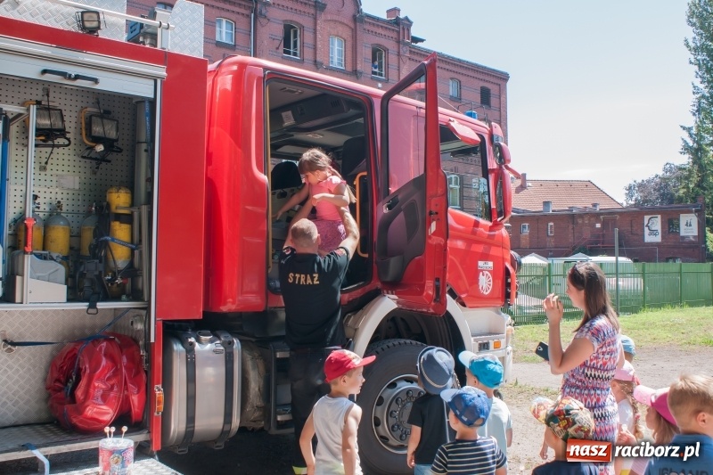 Zdjęcie w galerii na portalu naszraciborz.pl: Piknik sąsiedzki, czyli artyści, strażacy i biblioteka w ogródku jordanowskim wiadomości z regionu