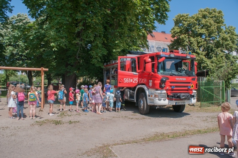 Zdjęcie w galerii na portalu naszraciborz.pl: Piknik sąsiedzki, czyli artyści, strażacy i biblioteka w ogródku jordanowskim wiadomości z regionu
