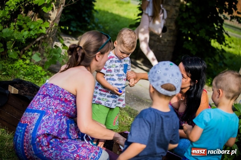 Zdjęcie w galerii na portalu naszraciborz.pl: Piknik inaugurujący założenie ogródka społecznego w parku jordanowskim wiadomości z regionu