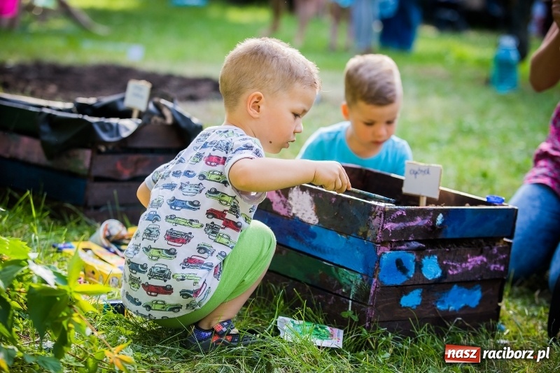 Zdjęcie w galerii na portalu naszraciborz.pl: Piknik inaugurujący założenie ogródka społecznego w parku jordanowskim wiadomości z regionu