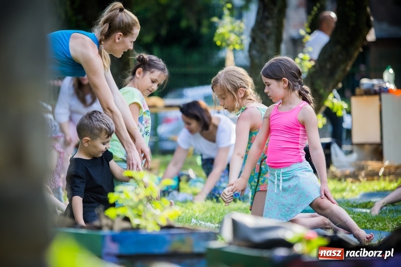 Zdjęcie w galerii na portalu naszraciborz.pl: Piknik inaugurujący założenie ogródka społecznego w parku jordanowskim wiadomości z regionu