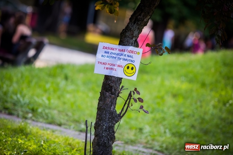 Zdjęcie w galerii na portalu naszraciborz.pl: Piknik inaugurujący założenie ogródka społecznego w parku jordanowskim wiadomości z regionu