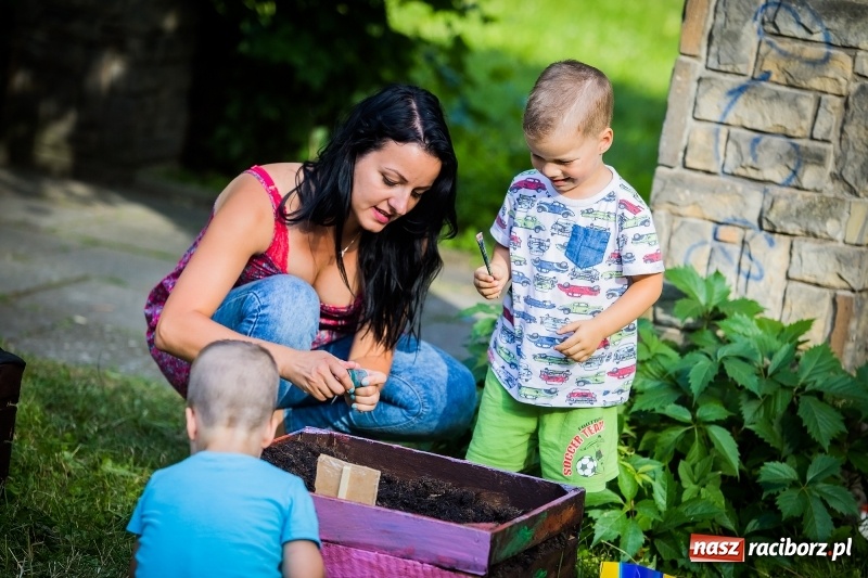 Zdjęcie w galerii na portalu naszraciborz.pl: Piknik inaugurujący założenie ogródka społecznego w parku jordanowskim wiadomości z regionu